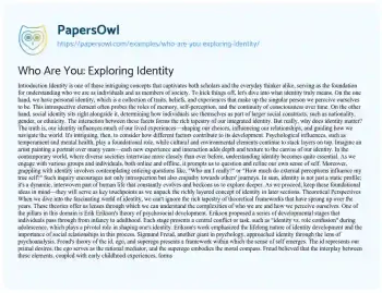 Essay on Who are You: Exploring Identity