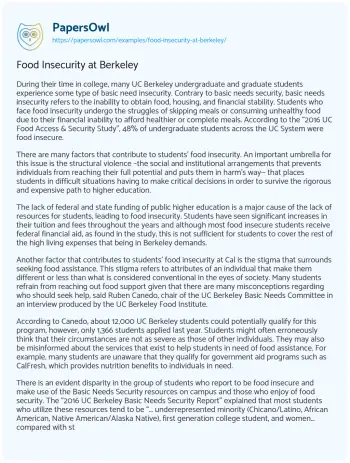 Essay on Food Insecurity at Berkeley