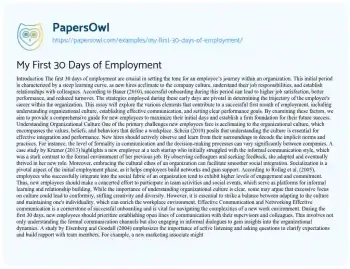 Essay on My First 30 Days of Employment