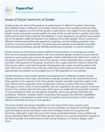 Essay on Issues of Social Constructs of Gender