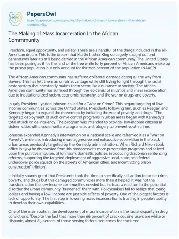 Essay on The Making of Mass Incarceration in the African Commmunity