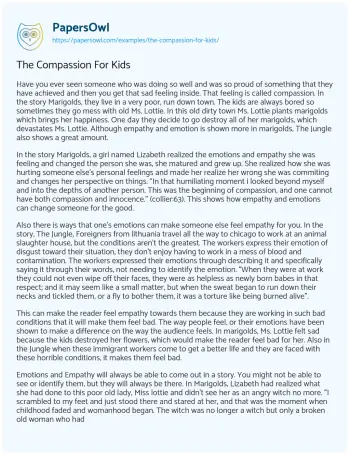 Essay on The Power of Compassion in Literature