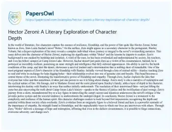 Essay on Hector Zeroni: a Literary Exploration of Character Depth