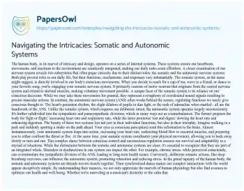 Essay on Navigating the Intricacies: Somatic and Autonomic Systems