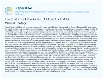 Essay on The Rhythms of Puerto Rico: a Closer Look at its Musical Heritage