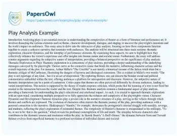 Essay on Play Analysis Example