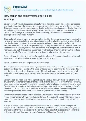 Essay on How Carbon and Carbohydrate Affect Global Warming