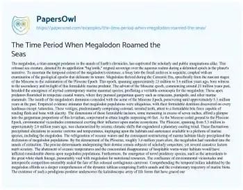 Essay on The Time Period when Megalodon Roamed the Seas