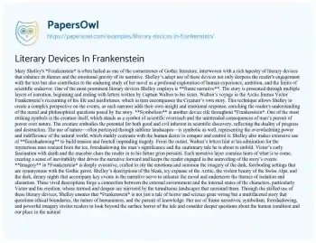 Essay on Literary Devices in Frankenstein