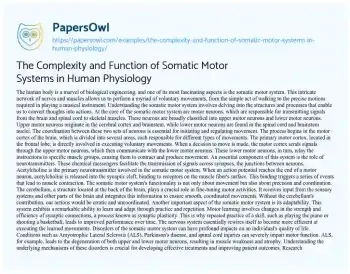 Essay on The Complexity and Function of Somatic Motor Systems in Human Physiology