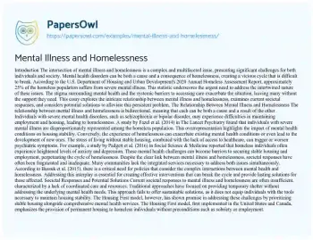 Essay on Mental Illness and Homelessness