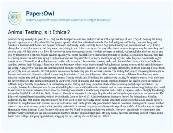 Essay on Animal Testing: is it Ethical?