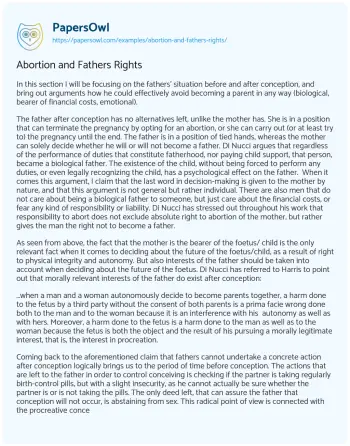 Essay on Abortion and Fathers Rights