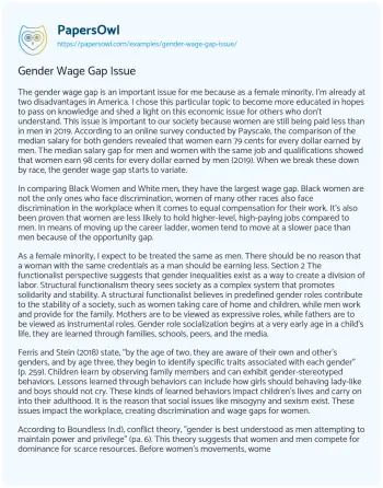 Essay on Gender Wage Gap Issue