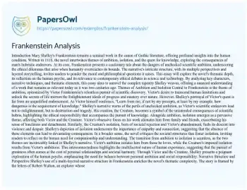 Essay on Frankenstein Analysis