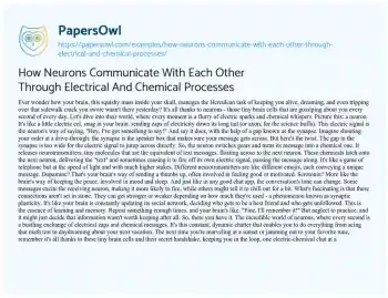 Essay on How Neurons Communicate with each other through Electrical and Chemical Processes