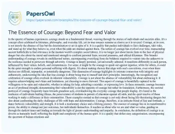 Essay on The Essence of Courage: Beyond Fear and Valor