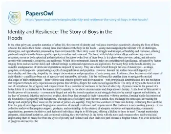 Essay on Identity and Resilience: the Story of Boys in the Hoods