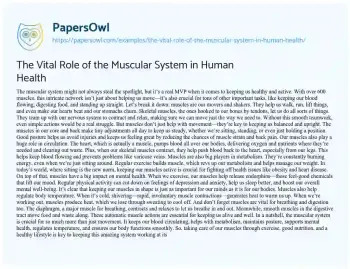 Essay on The Vital Role of the Muscular System in Human Health