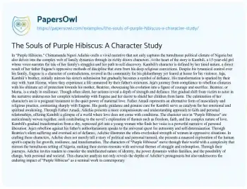 Essay on The Souls of Purple Hibiscus: a Character Study