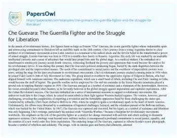 Essay on Che Guevara: the Guerrilla Fighter and the Struggle for Liberation