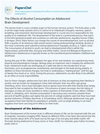 Essay on The Effects of Alcohol Consumption on Adolescent Brain Development