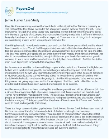 Essay on Jamie Turner Case Study