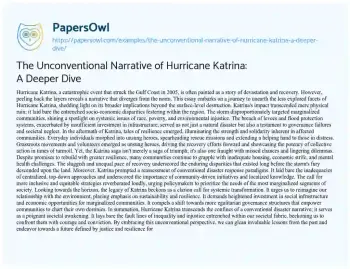 Essay on The Unconventional Narrative of Hurricane Katrina: a Deeper Dive