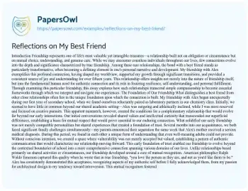 Essay on Reflections on my Best Friend