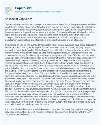 Essay on An Idea of Capitalism