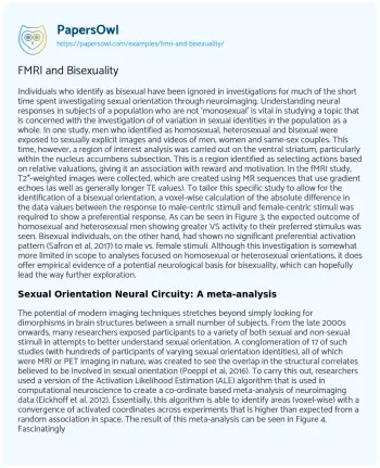 Essay on FMRI and Bisexuality