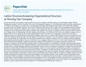 Essay on Lattice Structure:Analyzing Organizational Structure at Morning Star Company 