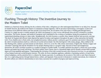 Essay on Flushing through History: the Inventive Journey to the Modern Toilet