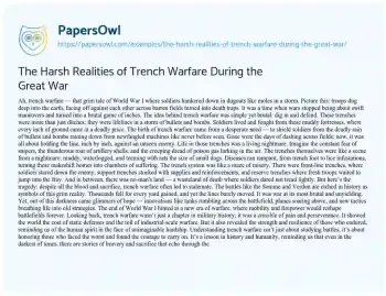 Essay on The Harsh Realities of Trench Warfare during the Great War