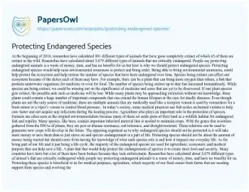 Essay on Protecting Endangered Species