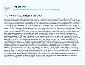 Essay on The Role of Cats in Human Society