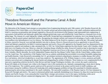 Essay on Theodore Roosevelt and the Panama Canal: a Bold Move in American History