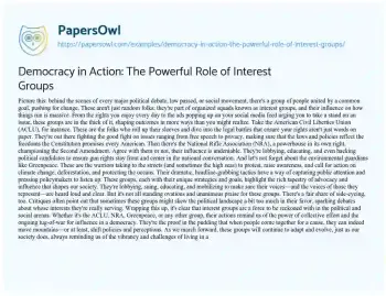 Essay on Democracy in Action: the Powerful Role of Interest Groups