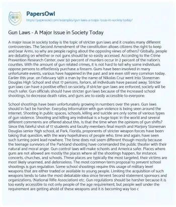 Essay on Gun Laws – a Major Issue in Society Today