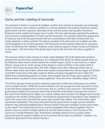 Essay on Darfur and the Labeling of Genocide