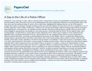 Essay on A Day in the Life of a Police Officer