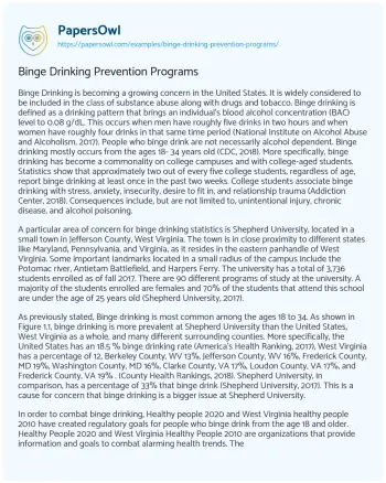 Essay on Binge Drinking Prevention Programs