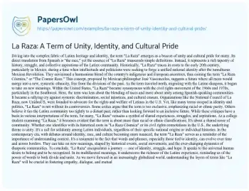 Essay on La Raza: a Term of Unity, Identity, and Cultural Pride