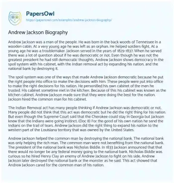 Essay on Andrew Jackson Biography