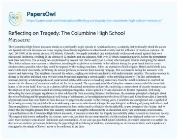 Essay on Reflecting on Tragedy: the Columbine High School Massacre