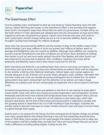 Essay on The Greenhouse Effect