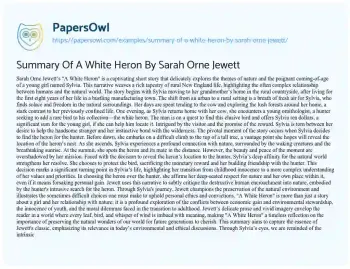 Essay on Summary of a White Heron by Sarah Orne Jewett