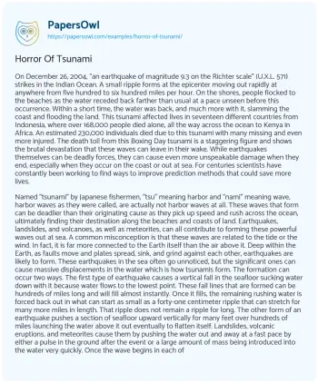 Essay on Horror of Tsunami