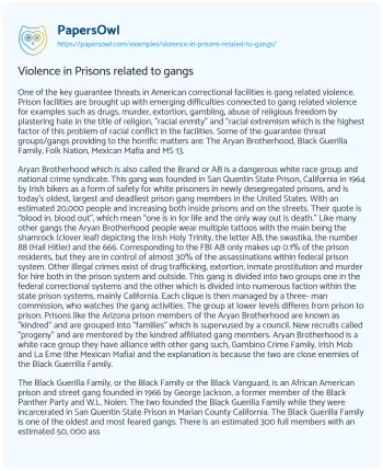 Essay on Violence in Prisons Related to Gangs