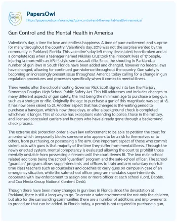 Essay on Gun Control and the Mental Health in America